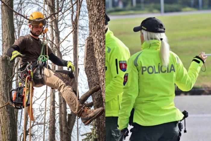 Ilustračný obrázok k článku Vodiči, pripravte sa na OBMEDZENIA: Pre výrub stromov môžu meškať aj autobusy