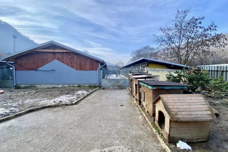 Ilustračný obrázok k článku Opustené psíky majú NOVÚ strechu nad hlavou: Pomohlo mesto aj darcovia, FOTO