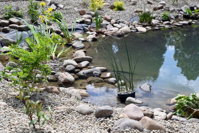 Ilustračný obrázok k článku NOVINKA v Plavči: V obci budú realizovať vodozádržné opatrenia za desiatky tisíc eur