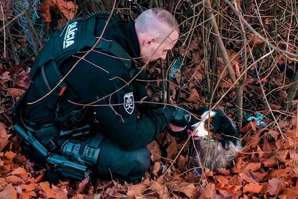 Ilustračný obrázok k článku Policajti HRDINOVIA: Pomohli zachrániť psíka, ktorý sa niekoľko dní trápil, FOTO