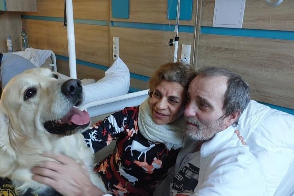 Ilustračný obrázok k článku Pes Amir sa postaral o malý ZÁZRAK: Neskutočné, čo dokázal v nemocnici, FOTO