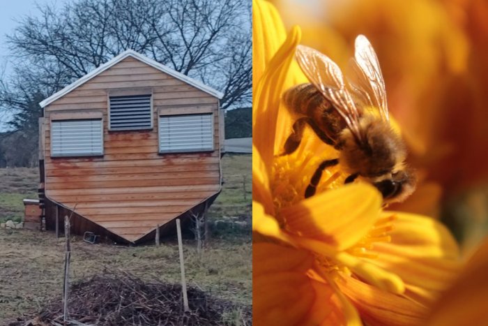 Ilustračný obrázok k článku Nitra bude mať novú ATRAKCIU: Vychutnáme si výhľad na mesto z včelieho domčeka