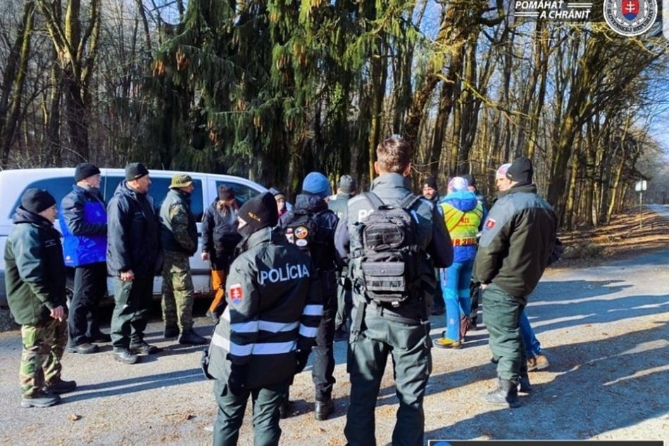Ilustračný obrázok k článku Ďalšie MIMORIADNE pátranie: Polícia prehľadávala les, 37-ročnú Martinu NAŠLI