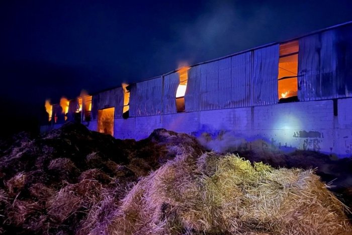 Ilustračný obrázok k článku Hasiči sa nezastavili celú noc: Desiatky z nich likvidovali OBROVSKÝ požiar