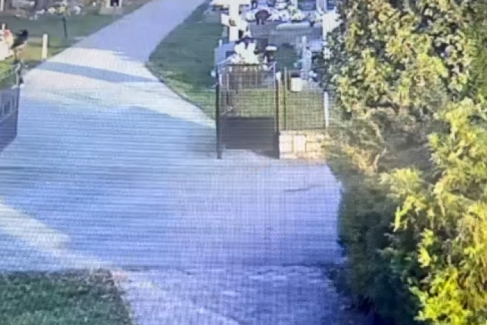 Ilustračný obrázok k článku OTRASNÁ chladnokrvnosť! Žena na východe hodila živého psa do studne a utiekla, VIDEO