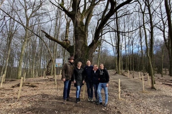 Ilustračný obrázok k článku Majestátny DUB z Lozorna sa uchádza o prestížne ocenenie. Očaril aj Zuzanu Čaputovú