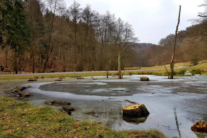 Ilustračný obrázok k článku TIP na prázdninový výlet: ČAROVNÉ miesto v Bratislave je teraz ešte krajšie