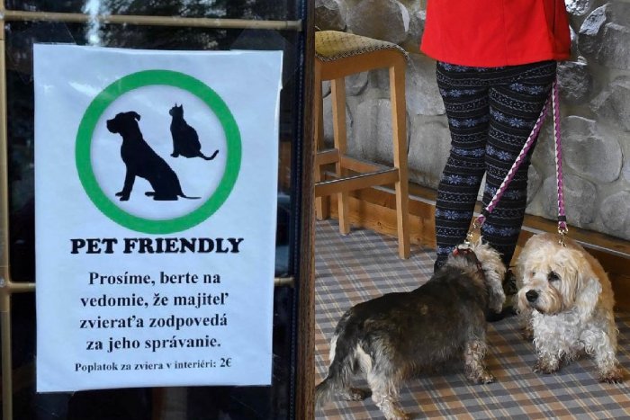 Ilustračný obrázok k článku Reštaurácia vyvolala búrlivé reakcie: Púšťa zvieratá len za POPLATOK, a to pre takýto DÔVOD