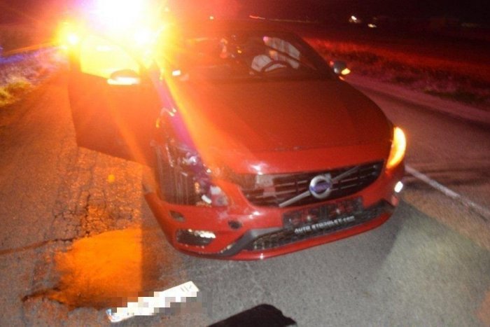 Ilustračný obrázok k článku ŠOFÉRI, tieto rady si zoberte k srdcu: VIEME, ako sa vyhnete ZRÁŽKE s divou zverou!