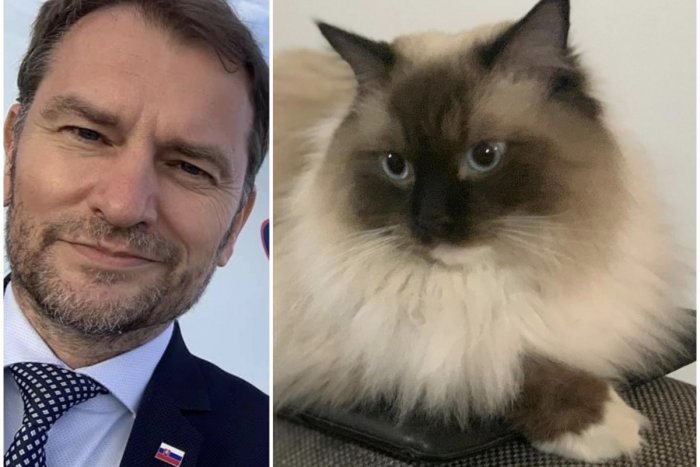 Ilustračný obrázok k článku Vytiahol svojho MAČIAKA! Vracia sa Matovič k svojim tradičným príspevkom? FOTO