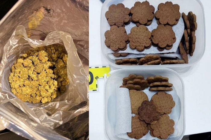 Ilustračný obrázok k článku Díler zo Senice mal drogy za 30-tisíc eur: Doma aj PIEKOL koláče z trávy!