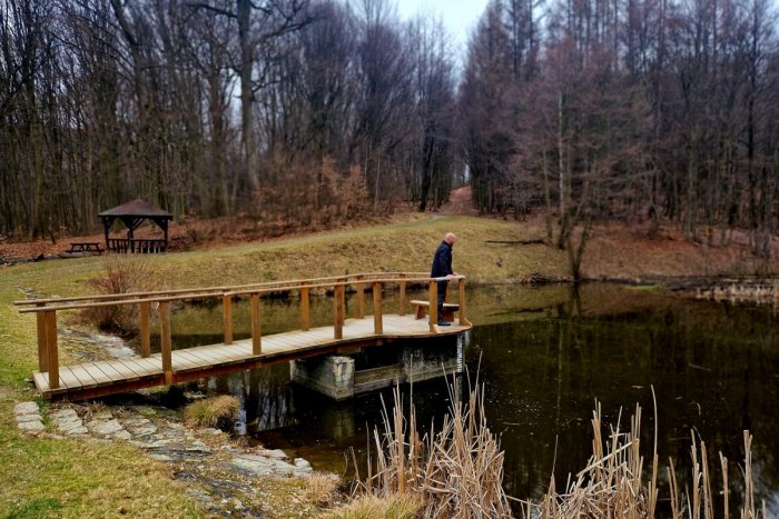 Ilustračný obrázok k článku Chodievate do lesov v Bratislave so svojim psíkom? TOTO preňho môže byť obrovské RIZIKO