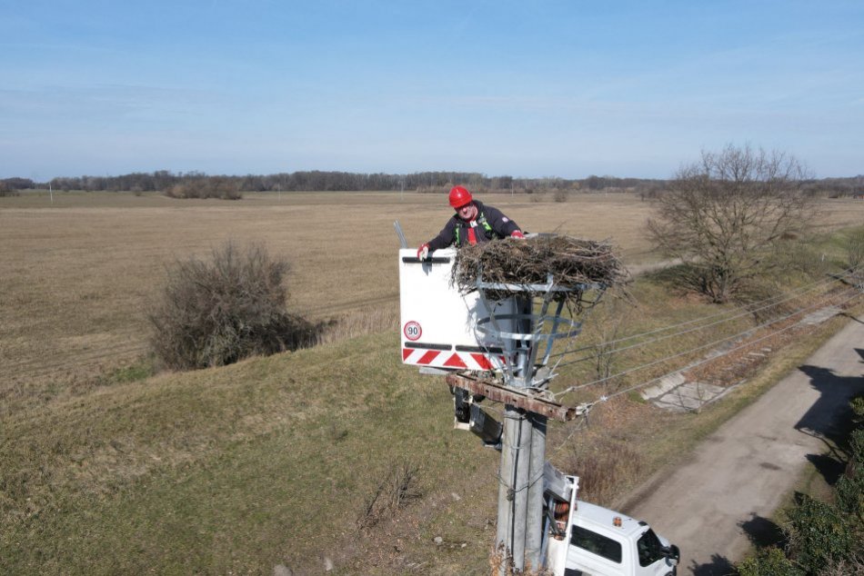 Ilustračný obrázok k článku Na Záhorí myslia aj na bociany: Elektrikári im vylepšili hniezda, FOTO