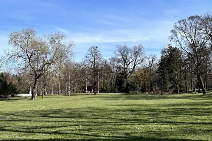 Ilustračný obrázok k článku Záplava v Sade Janka Kráľa: Kontrolovali bezpečnosť STROMOV po tom, čo ich zaliala voda