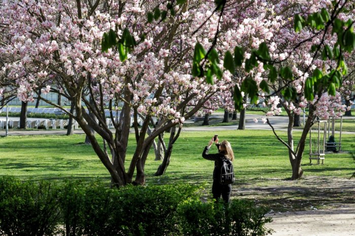 Ilustračný obrázok k článku VYŤAHUJTE tričká, sukne a kraťase: PRAVÁ jar sa blíži, teploty vyletia nad 20 stupňov!