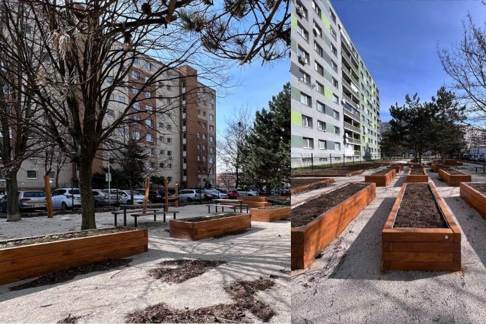 Ilustračný obrázok k článku Chcete pestovať bylinky či zeleninu? V Trnave vzniká prvá mestská komunitná záhrada