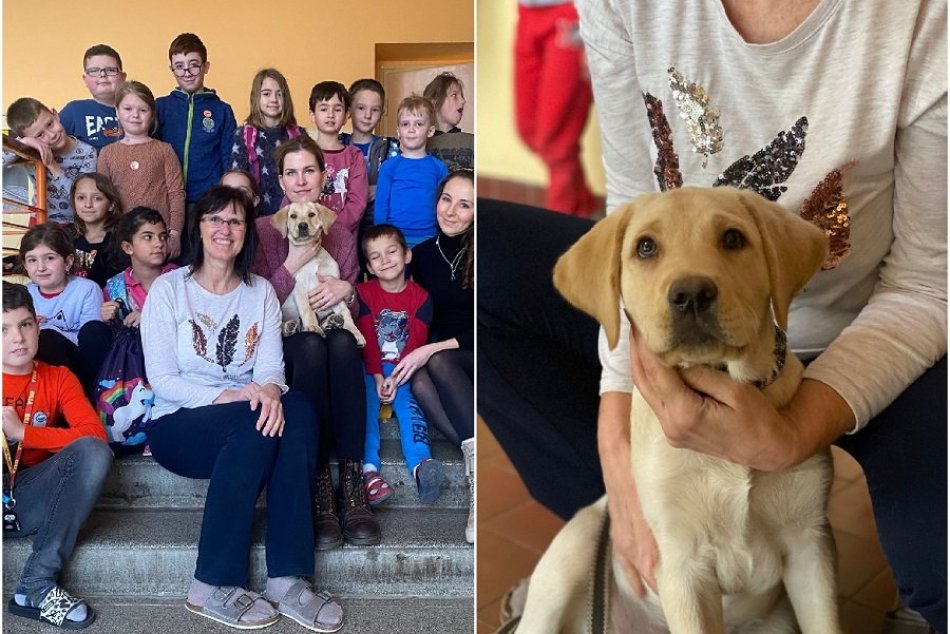 Ilustračný obrázok k článku V triede na Slovensku majú štvornohého spolužiaka: PES pôsobí na deti FANTASTICKY