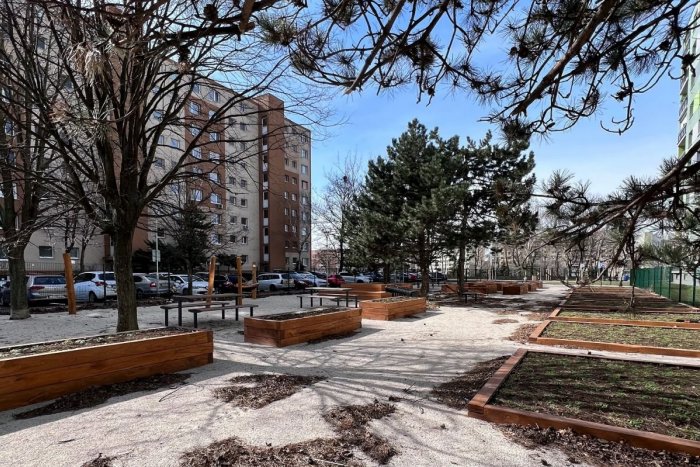 Ilustračný obrázok k článku Skvelé možnosti pre obyvateľov: V Trnave i Hlohovci vznikajú nové komunitné záhrady