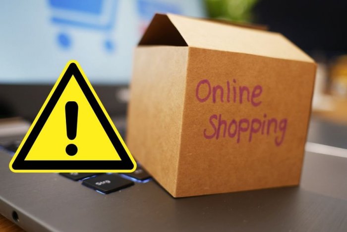 Ilustračný obrázok k článku Slováci MILUJÚ online nakupovanie: Prezradili, čo ich však VYTÁČA do vývrtky!