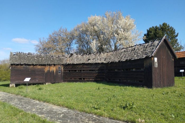 Ilustračný obrázok k článku Na Agrokomplexe chcú zachrániť jedinečný včelín: Variť budú dobročinný GULÁŠ