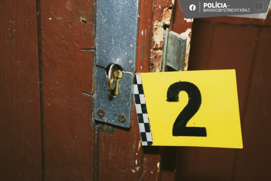 Ilustračný obrázok k článku SÉRIA vlámačiek pri obľúbenom TAJCHU: Zlodej je policajtom dobre známy, FOTO