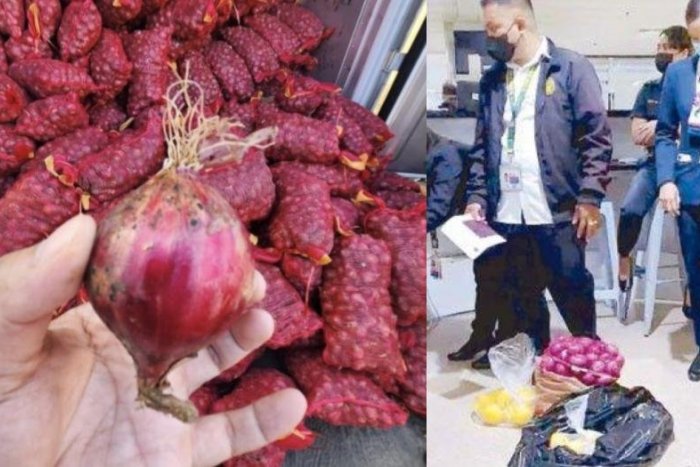 Ilustračný obrázok k článku CIBUĽA nad zlato? Letušky pašovali 15 kilogramov zeleniny až na Filipíny