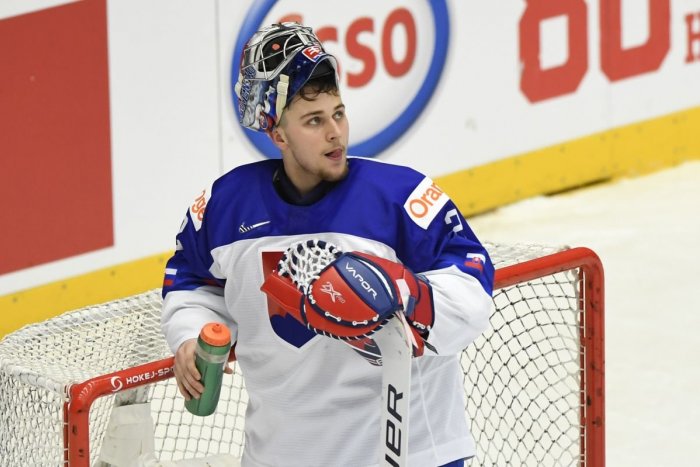 Ilustračný obrázok k článku Slovensko na úvod prípravy zdolalo Švajčiarsko: Brankár Hlavaj nepustil ANI JEDEN gól