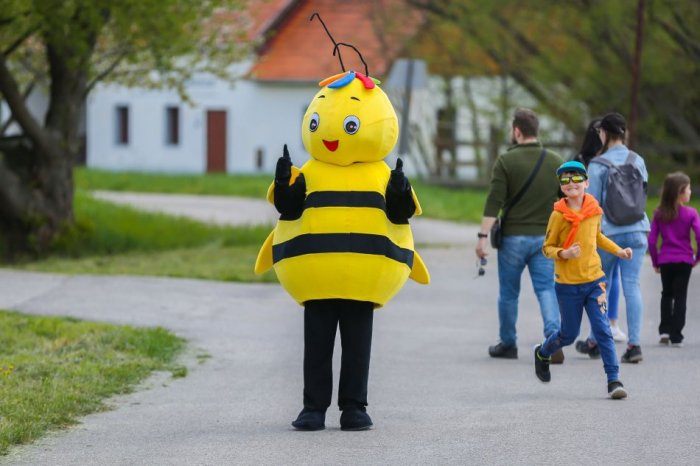 Ilustračný obrázok k článku V Nitre si užijeme VČELÁRSKE slávnosti: Lákajú na PROGRAM, ochutnávky aj vláčik