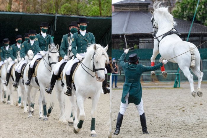 Ilustračný obrázok k článku Čo zažiť 1. mája? Žrebčín v Topoľčiankach láka na Deň otvorených dverí a GALAPROGRAM