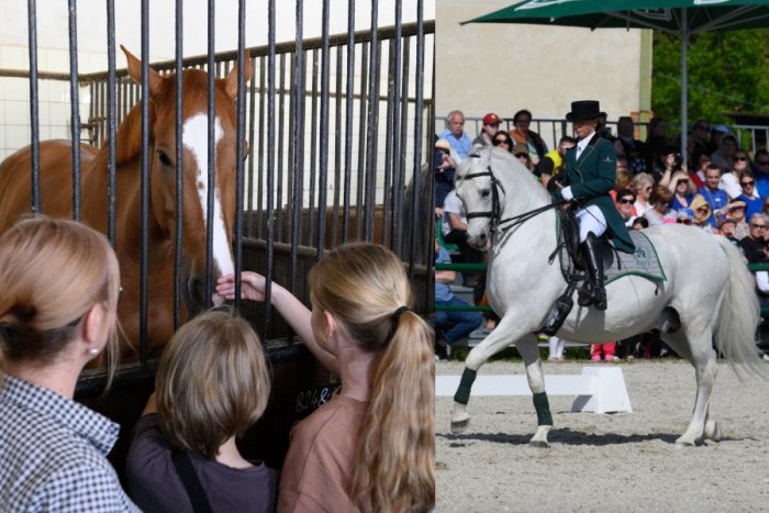 Ilustračný obrázok k článku Žrebčín Topoľčianky opäť otvoril svoje brány: Odštartoval novú sezónu, FOTO