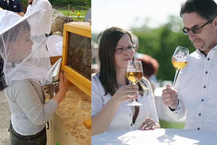 Ilustračný obrázok k článku Otvorenie včelárskej sezóny v Dolnej Krupej: Chýbať nebudú OCHUTNÁVKY