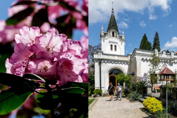 Ilustračný obrázok k článku Arborétum Mlyňany láka na Ambrózyho dni: Prinesú Festival remesiel aj PREHLIADKY