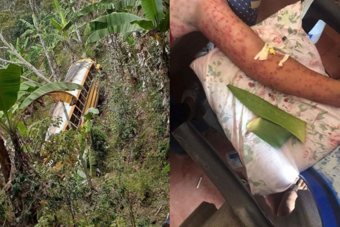 Ilustračný obrázok k článku Nehodu autobusu prežili všetci cestujúci: Potom na nich zaútočili VČELY, hlásia 6 MŔTVYCH