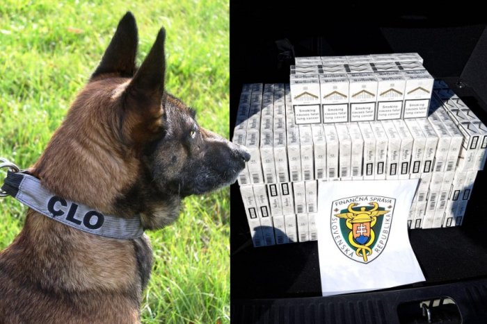 Ilustračný obrázok k článku Kriminalisti odhalili NELEGÁLNU výrobňu cigariet: Obvinenia má na krku už 12 ľudí