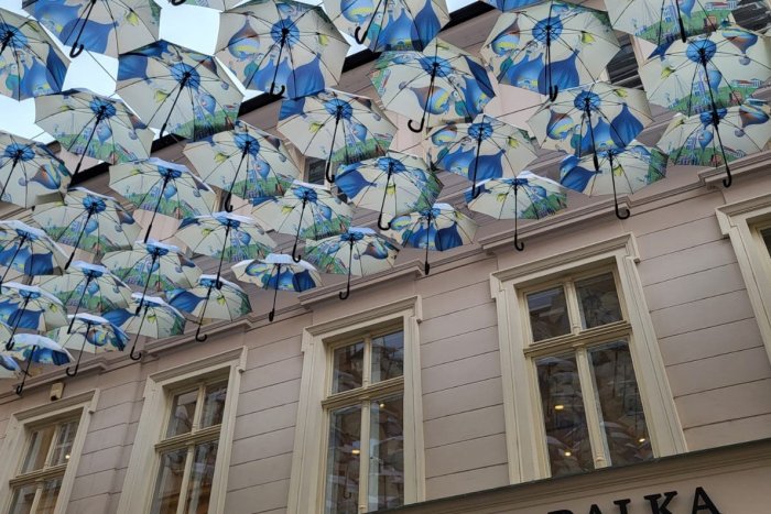 Ilustračný obrázok k článku Tradičné dáždniky nebudú chýbať ani tento rok: Na Nedbalke budú ŠTYRI mesiace