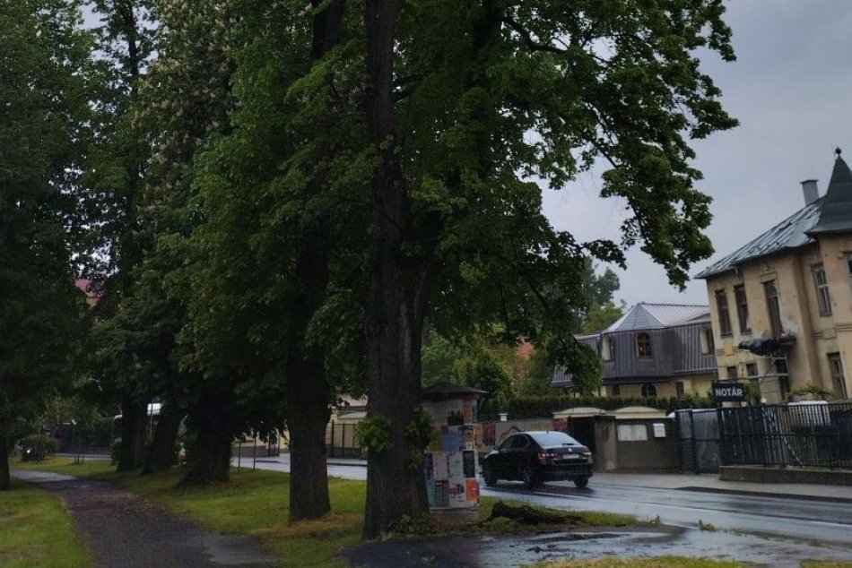 Ilustračný obrázok k článku Pri Mestskom parku zvýšte OPATRNOSŤ: Pre ošetrovanie drevín hrozia OBMEDZENIA