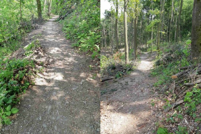 Ilustračný obrázok k článku Hor sa na prechádzku! Obľúbený modrý turistický chodník je opäť PRIECHODNÝ