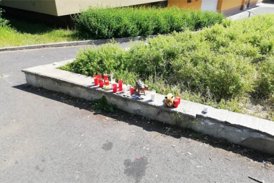 Ilustračný obrázok k článku Desivé DETAILY z tragédie: Chlapčeka držal otec na rukách a ten druhý ho bodol do krku...