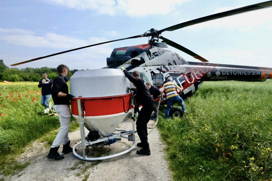 Ilustračný obrázok k článku Tvrdá BITKA Bratislavy proti komárom: V týchto lokalitách je ich NAJVIAC! FOTO