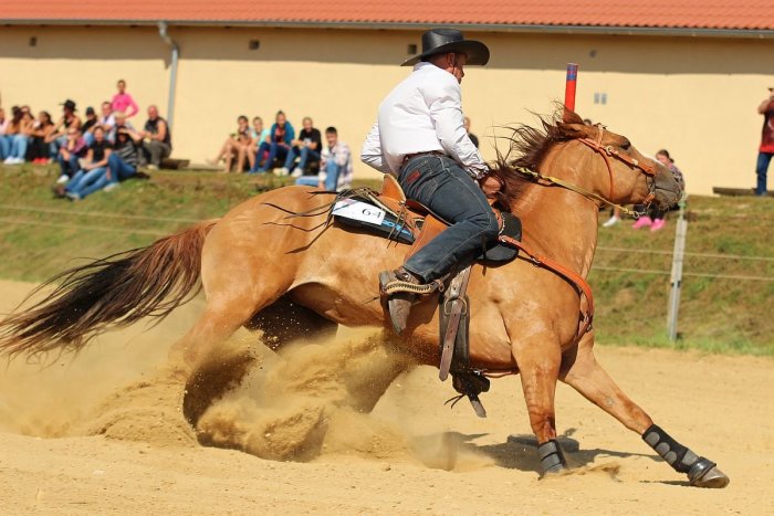 Ilustračný obrázok k článku Vozenie na poníkoch, hry a ukážky: Jazdecký klub pri Nitre láka na Deň otvorených dverí