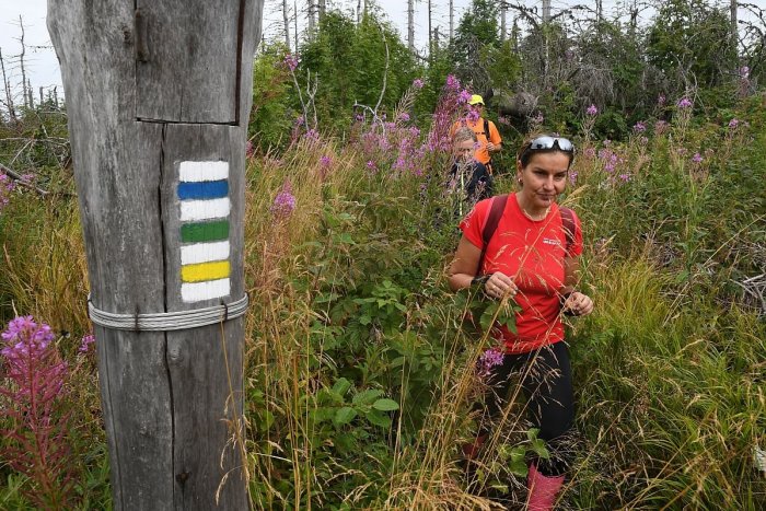 Ilustračný obrázok k článku Užite si krásy prírody a pomôžte: Turisti budú OBNOVOVAŤ značenie na Tribeči