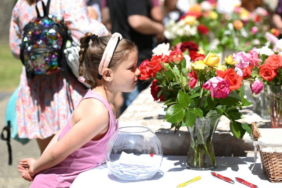 Ilustračný obrázok k článku Park pri kaštieli v Dolnej Krupej zaplnili návštevníci: Ožil Dňom ruží, FOTO