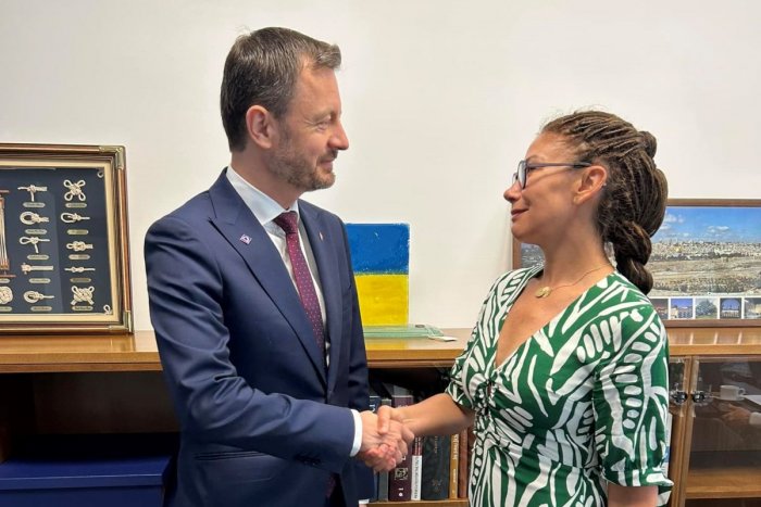 Ilustračný obrázok k článku Prekvapivá SPOLUPRÁCA: Demokrati idú do volieb spolu s Jablkom L. Ďuriš Nicholsonovej