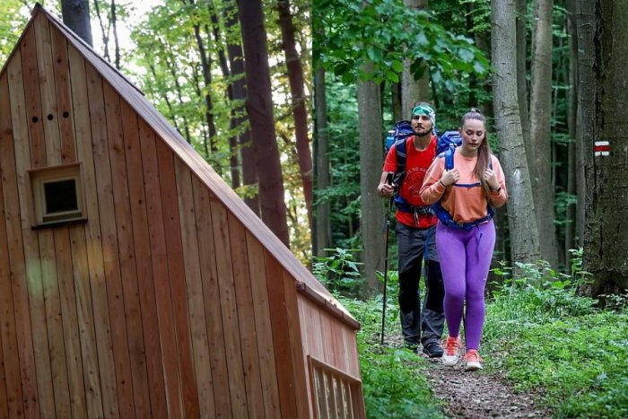 Ilustračný obrázok k článku Nová útulňa v Malých Karpatoch je DOKONČENÁ: Čaká ju slávnostné otvorenie, FOTO