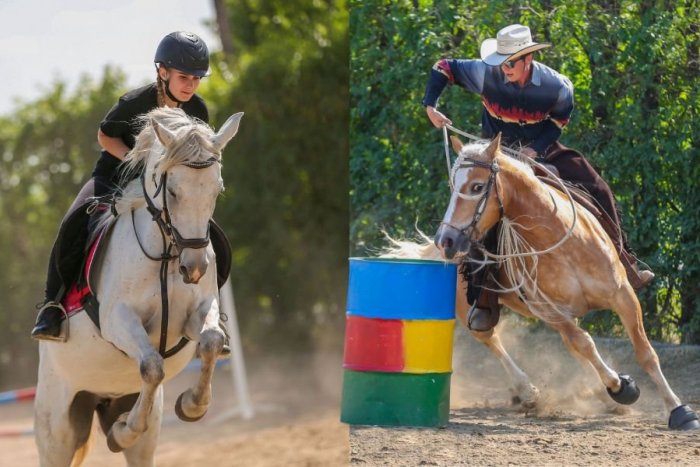 Ilustračný obrázok k článku Skvelé vystúpenia aj zábavný program: Víkend patril pri Nitre koňom, FOTO