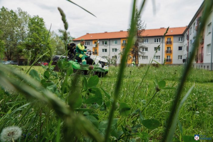 Ilustračný obrázok k článku V Poprade kosia trávnaté plochy: Mesto vysvetľuje, prečo sa tento rok začalo neskôr