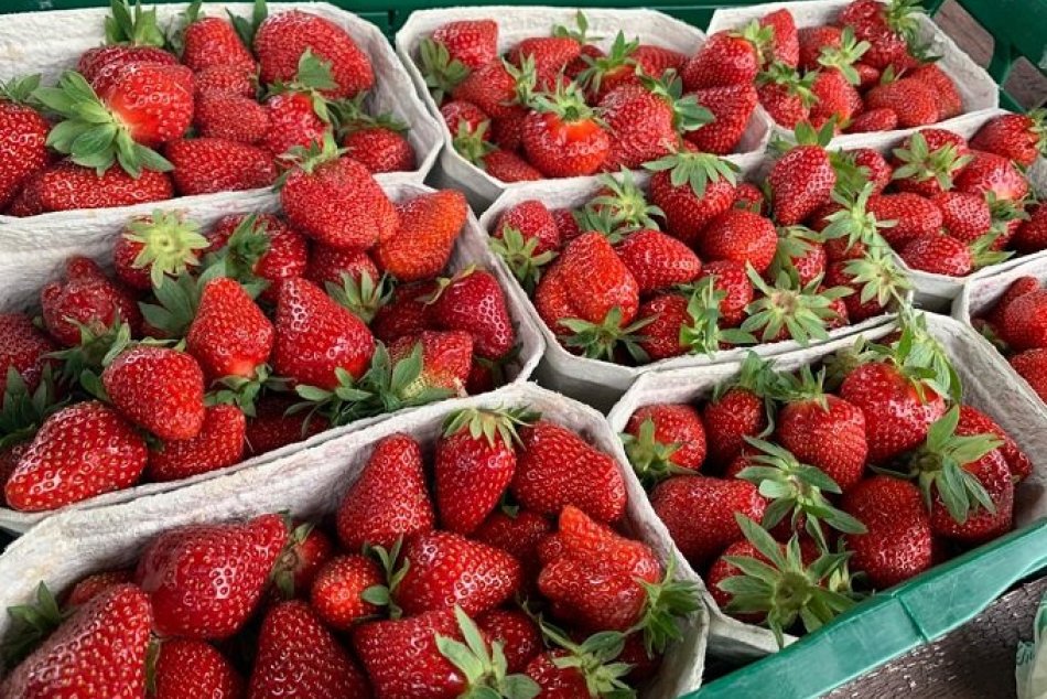 Ilustračný obrázok k článku Výnimočná šanca v Prešove: Trúfate si upiecť ten NAJLEPŠÍ jahodový koláč na svete?