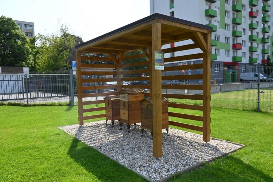 Ilustračný obrázok k článku V Bratislave PRIBUDLO takmer 200 tisíc nových "obyvateľov: O akých prisťahovalcov ide?