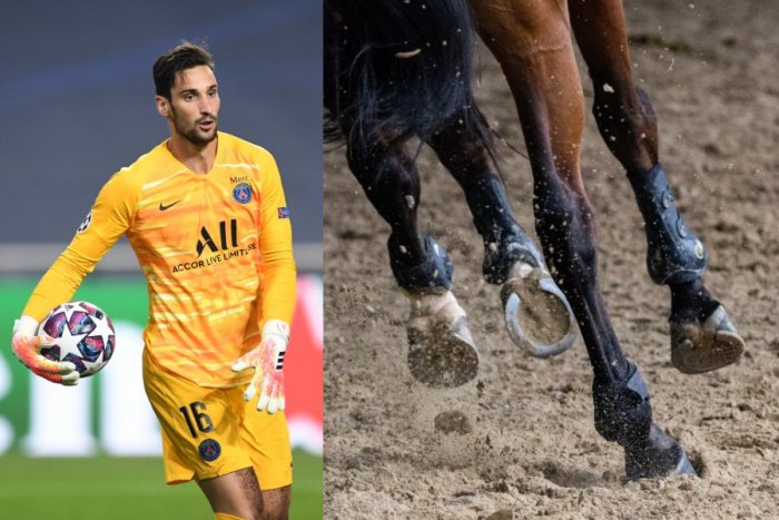 Ilustračný obrázok k článku Brankár PSG bojuje o ŽIVOT: Po páde z koňa je vo vážnom stave, opäť upadol do KÓMY