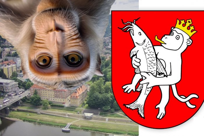 Ilustračný obrázok k článku Z českej ZOO utiekli MAKAKY: Stali sa terčom podarených internetových VTIPOV